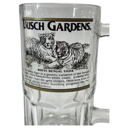 Caneca Grande do Tigre Branco de Bengala – Busch Gardens, Florida, EUA