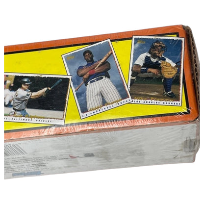 Kit Completo de Cartas de Baseball Vintage 1995 - 677 Cartas, Lacrado