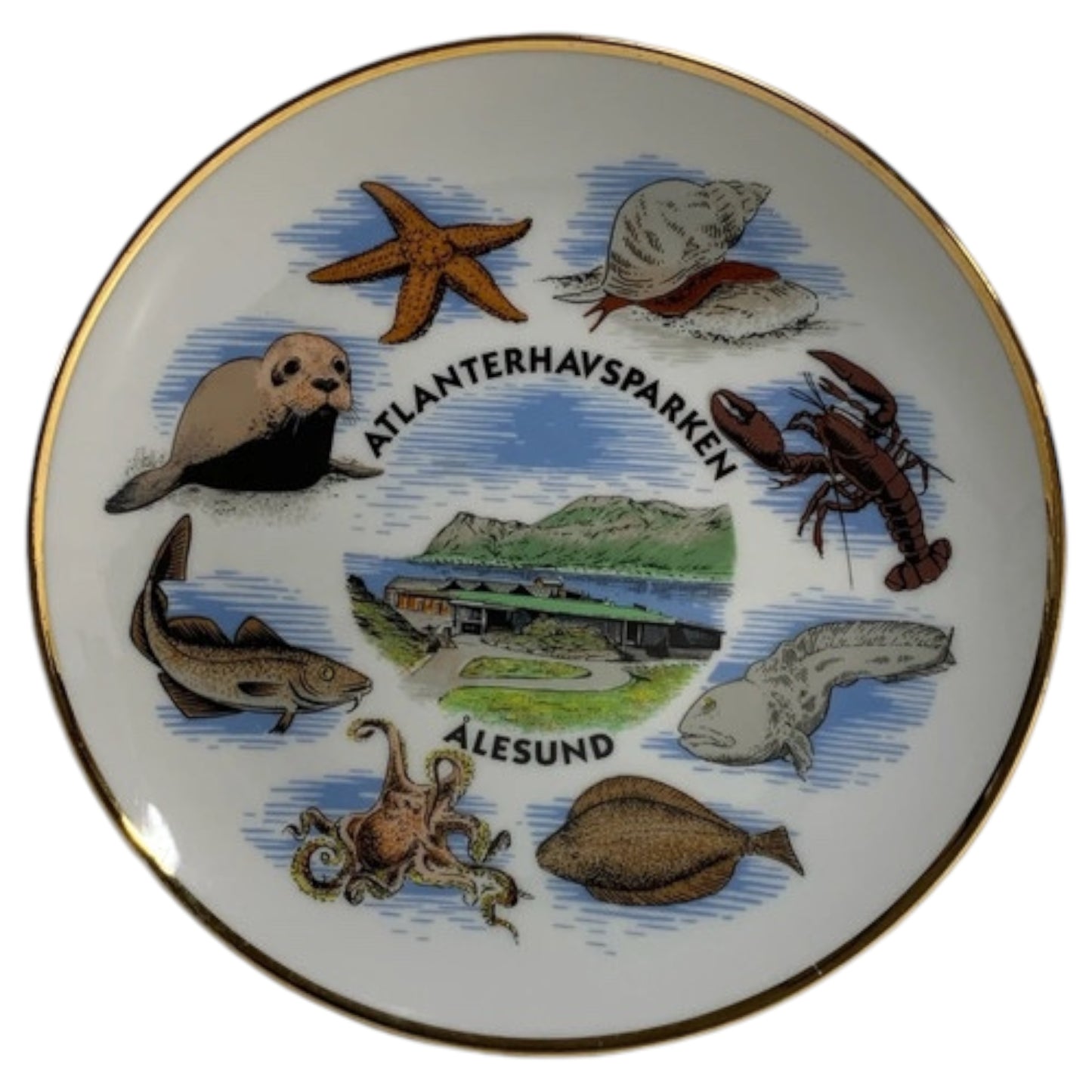 Plato decorativo de recuerdo noruego Atlanterhavsparken Alesund - Animales marinos 17 cm