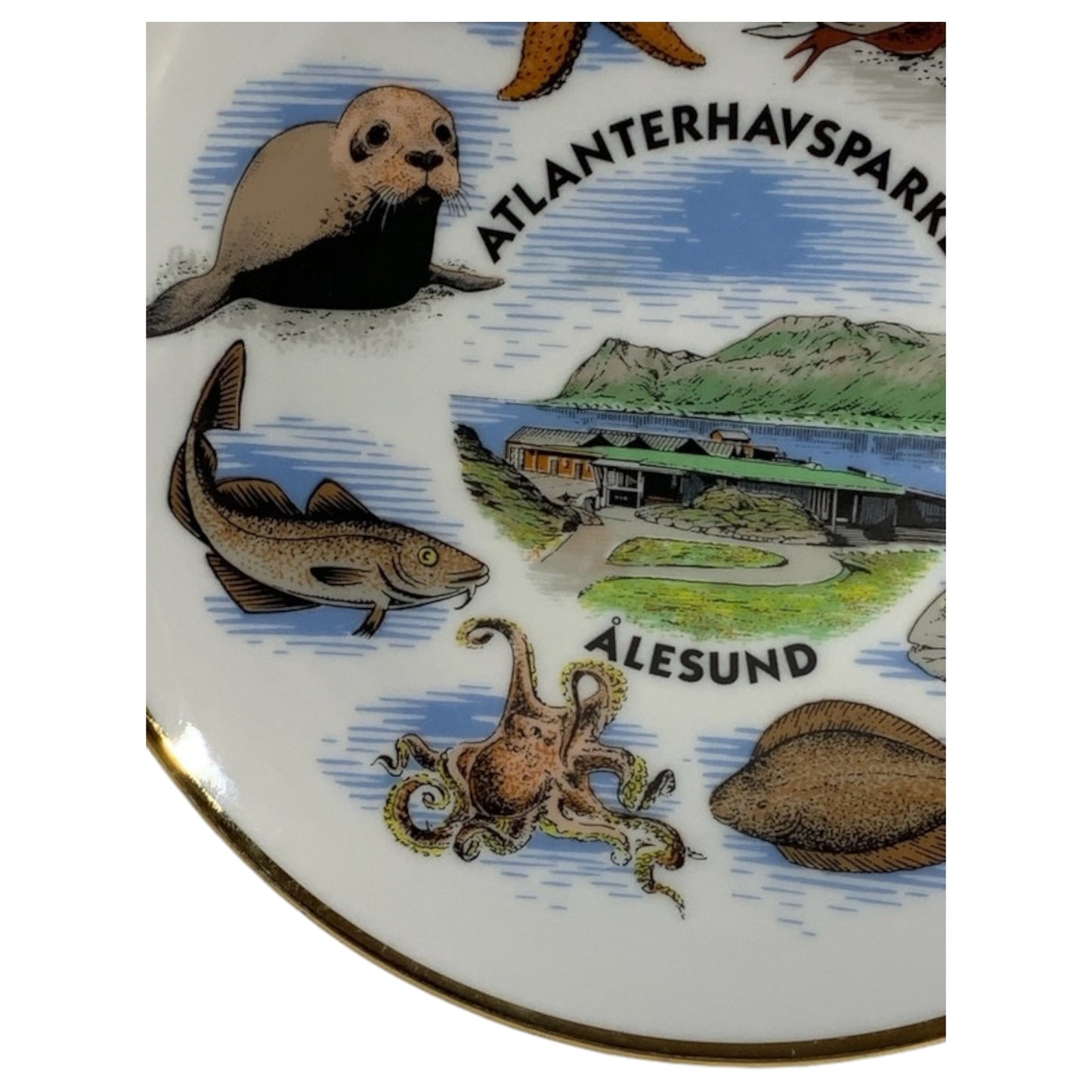 Plato decorativo de recuerdo noruego Atlanterhavsparken Alesund - Animales marinos 17 cm