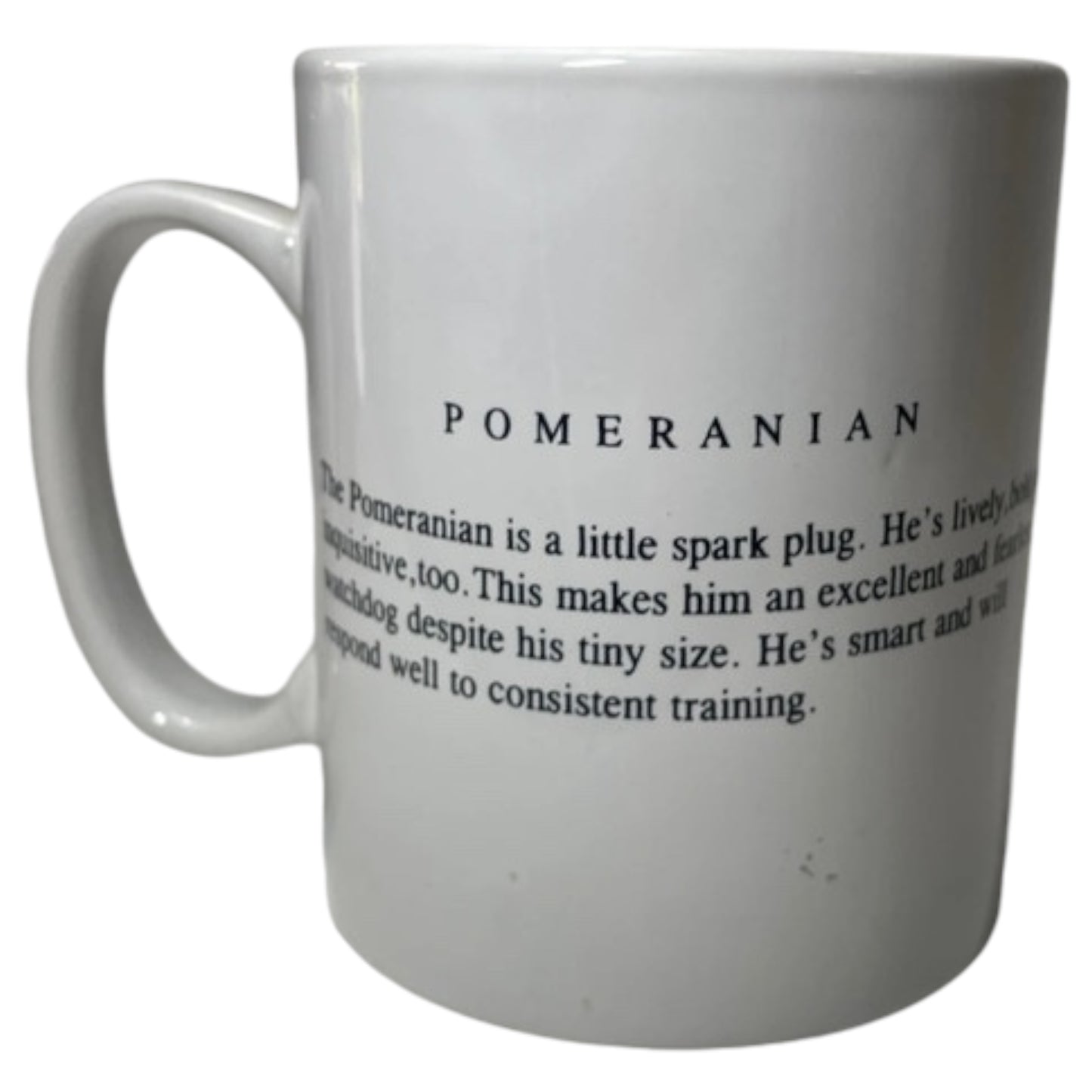 Caneca de Porcelana Lulu da Pomerânia – Pomeranian Mug Descrição da Raça