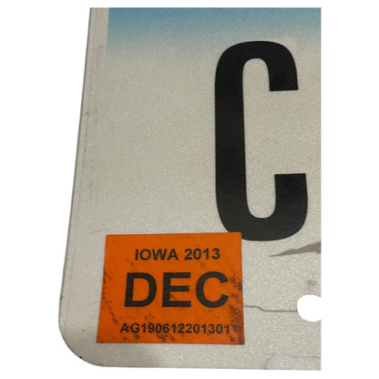 Placa de Carro IOWA Pottawattyame, Dezembro 2013, Original dos EUA - Bom Estado