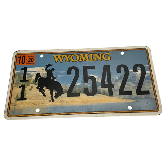 Placa de Carro Wyoming, 2020, Ilustração das Montanhas, Lagos e Cowboy - Original dos EUA